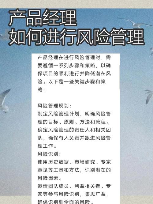 风险管理规划 