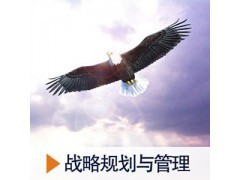 人力资源的战略规划与管理_教育管理_教育教学_软件产品_中国软件网